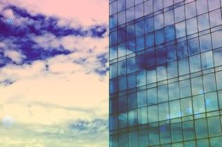 中越東黑冠長臂猿聯(lián)合保護行動計劃和聯(lián)合巡護隊伍工作方案簽署共護全球極度瀕